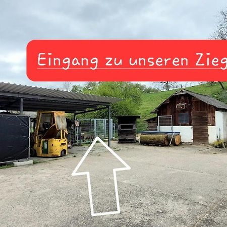 Ferienwohnung/Monteurzimmer Auf Dem Bauernhof Moerlenbach Luaran gambar