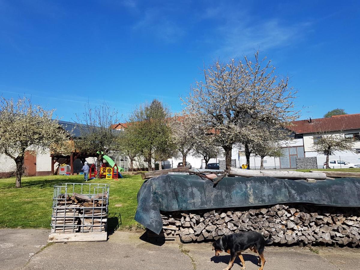 Ferienwohnung/Monteurzimmer Auf Dem Bauernhof Moerlenbach Luaran gambar
