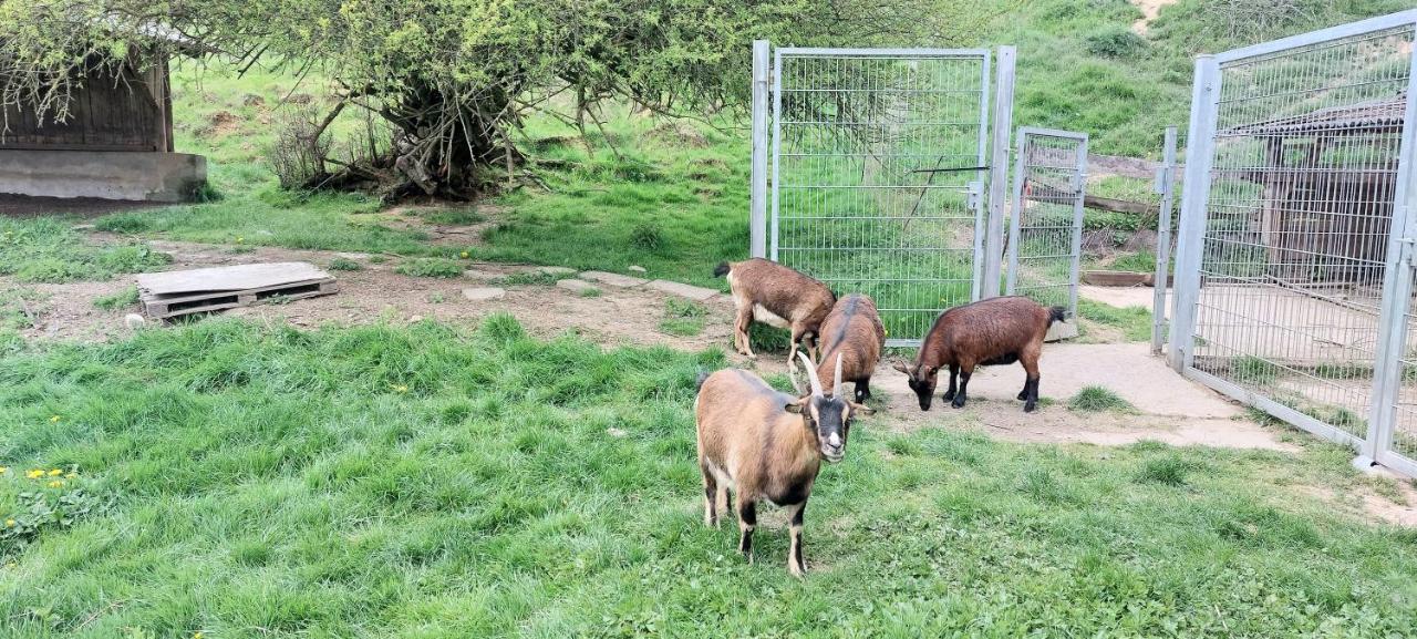 Ferienwohnung/Monteurzimmer Auf Dem Bauernhof Moerlenbach Luaran gambar