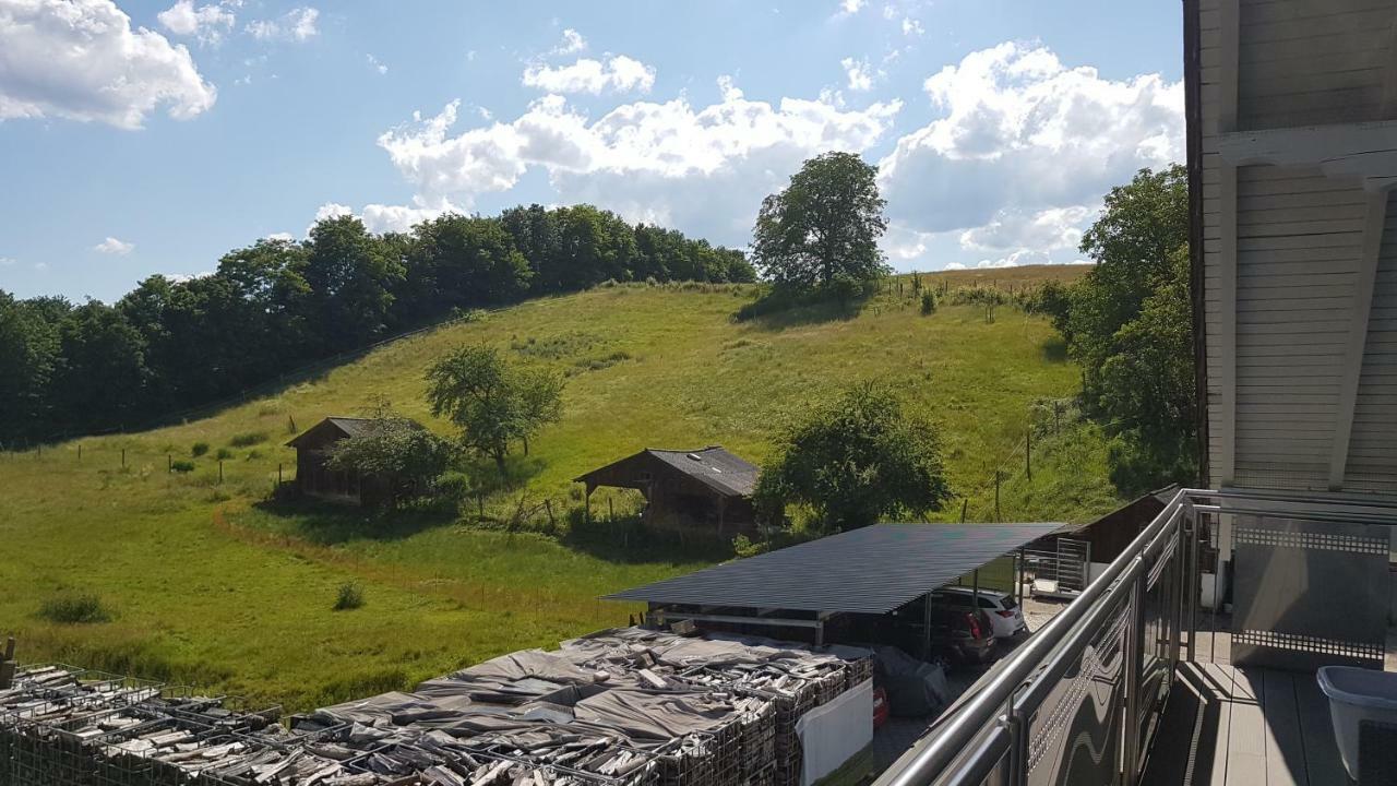 Ferienwohnung/Monteurzimmer Auf Dem Bauernhof Moerlenbach Luaran gambar