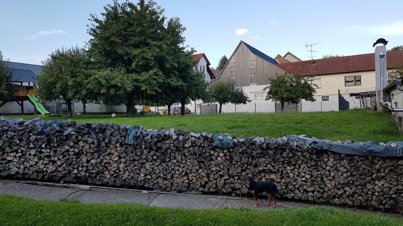Ferienwohnung/Monteurzimmer Auf Dem Bauernhof Moerlenbach Luaran gambar